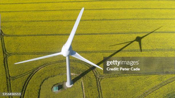 wind turbine in field of oilseed rape - green economy foto e immagini stock