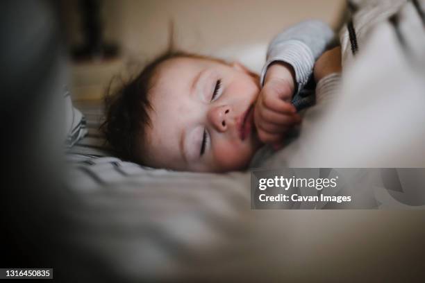 brown haired sleeping infant boy peacefully co-sleeping - baby night stock-fotos und bilder