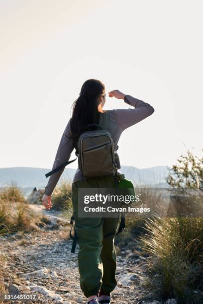a woman explorer walks along a dirt road observing nature - wilderness guide stock-fotos und bilder