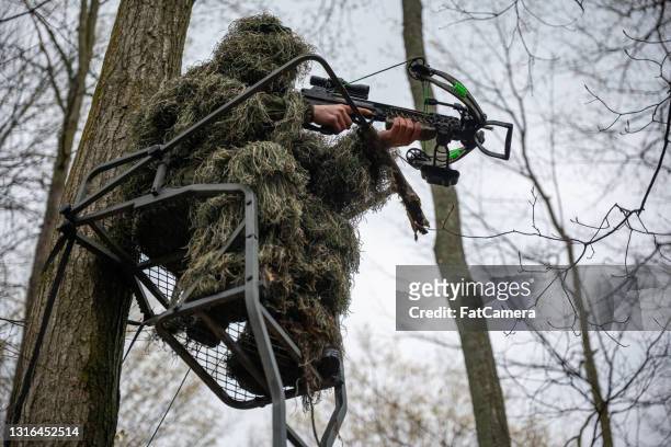 木のスタンドで狩りをする - crossbow ストックフォトと画像