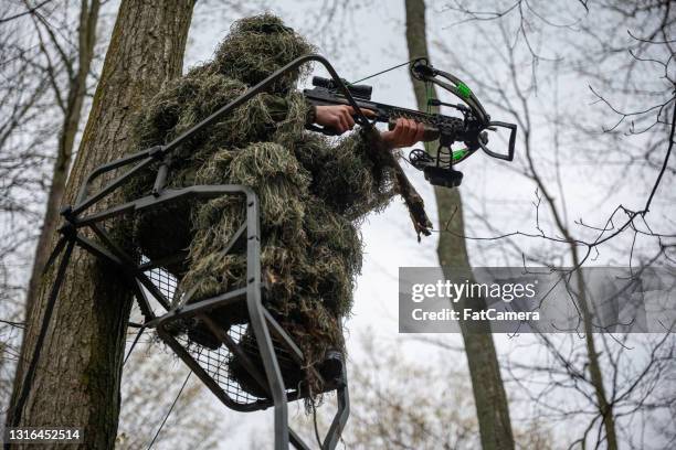 hunting in a tree stand - crossbow stock pictures, royalty-free photos & images