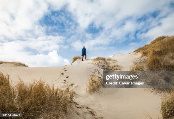 woman walking up sand dunes in winter with blue sky and clouds - sand dune fotografías e imágenes de stock
