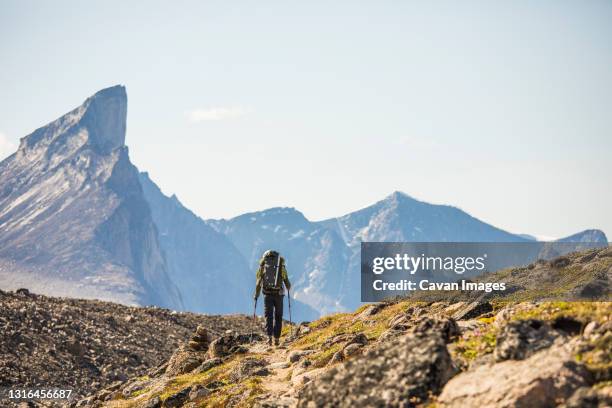lone hiker on trail below mount thor, baffin island. - mount thor stock pictures, royalty-free photos & images