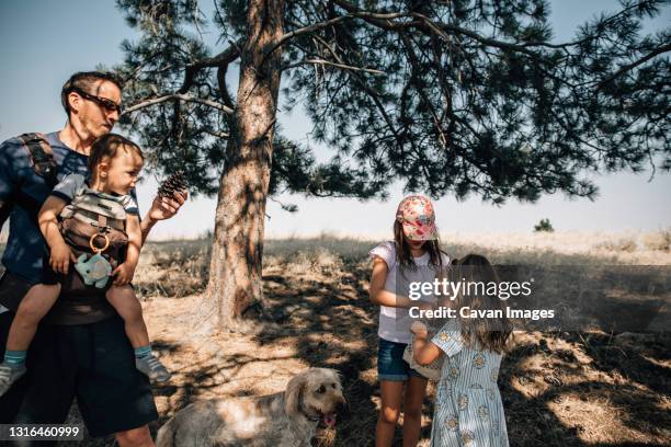 family collecting pine cones on a hike nature walk with their dog - prairie dog 個照片及圖片檔