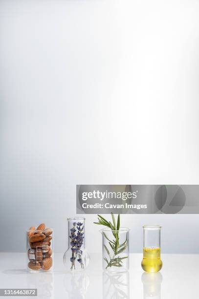 glass cones with almonds, rosemary, lavender and oil inside on a white - almond oil stockfoto's en -beelden