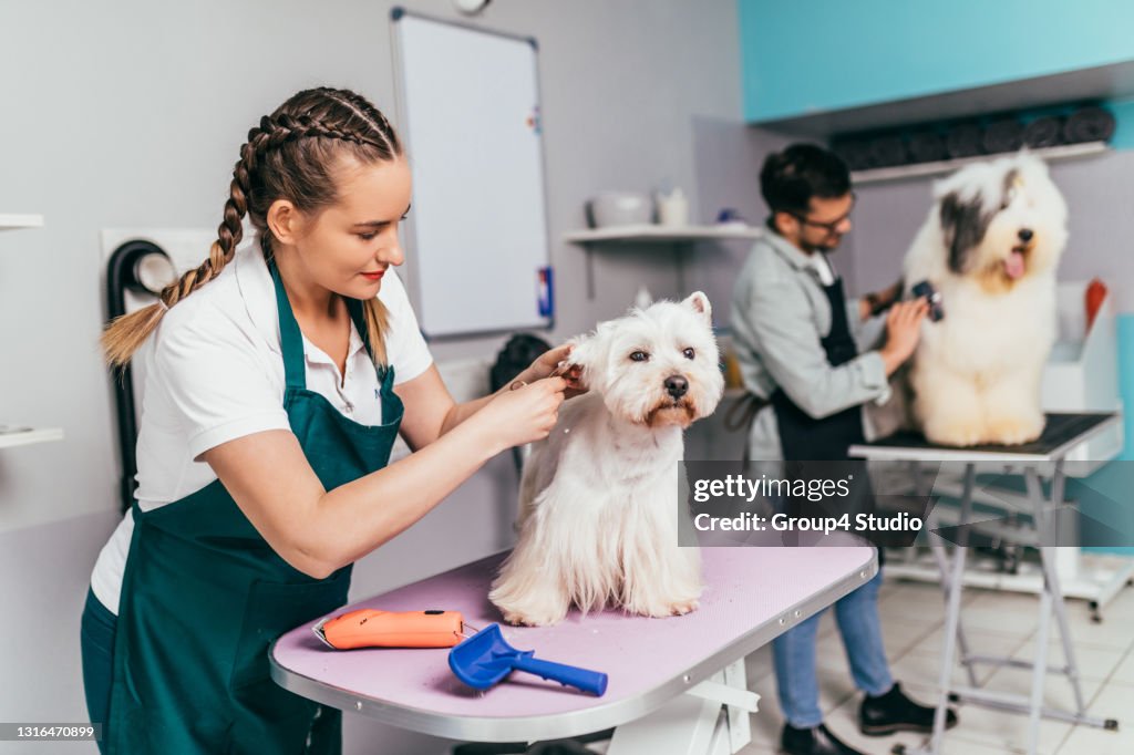 Grooming salon