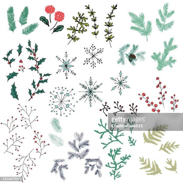 delicate hand drawn evergreen winter elements - twig stock illustrations