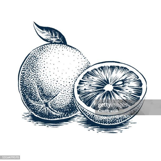 6,443 Grapefruit Orange Stock Photos, High-Res Pictures, and