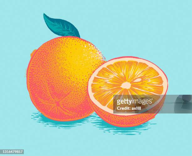 オレンジの木版スクリーン印刷 - orange fruit点のイラスト素材／クリップアート素材／マンガ素材／アイコン素材