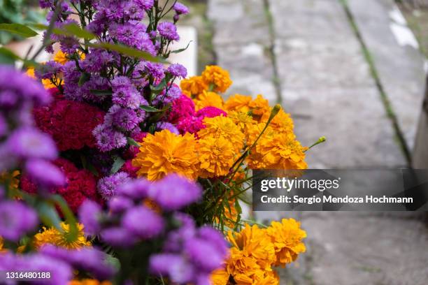 Simple Aztec Flower Aztec Flowers Photos and Premium High Res Pictures - Getty Images