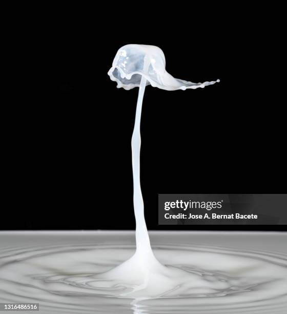 collision of milk drops  on a black background. - milk wave stock pictures, royalty-free photos & images