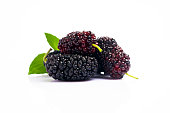 Ripe and delicious  black mulberry on white background.