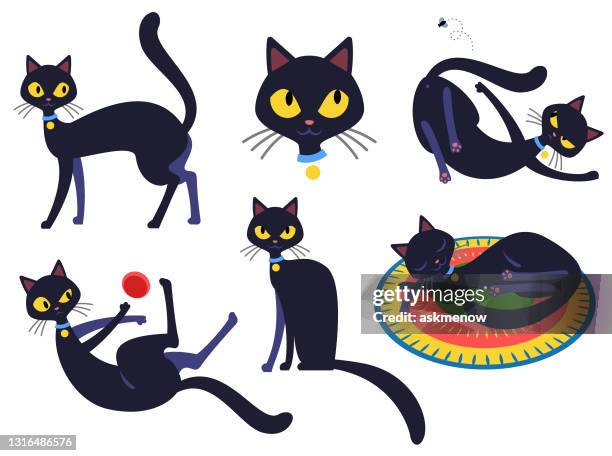 ilustrações de stock, clip art, desenhos animados e ícones de funny cat character set 2 - tail