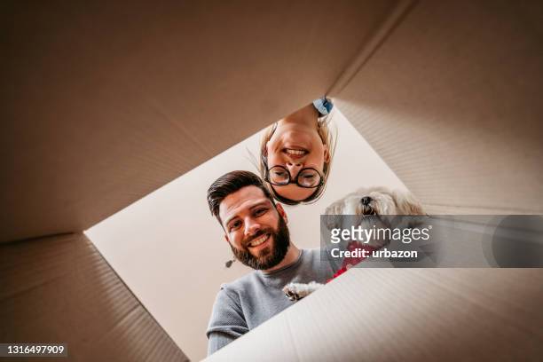 couple and toy dog unpacking cardboard box together - gift excitement stock pictures, royalty-free photos & images