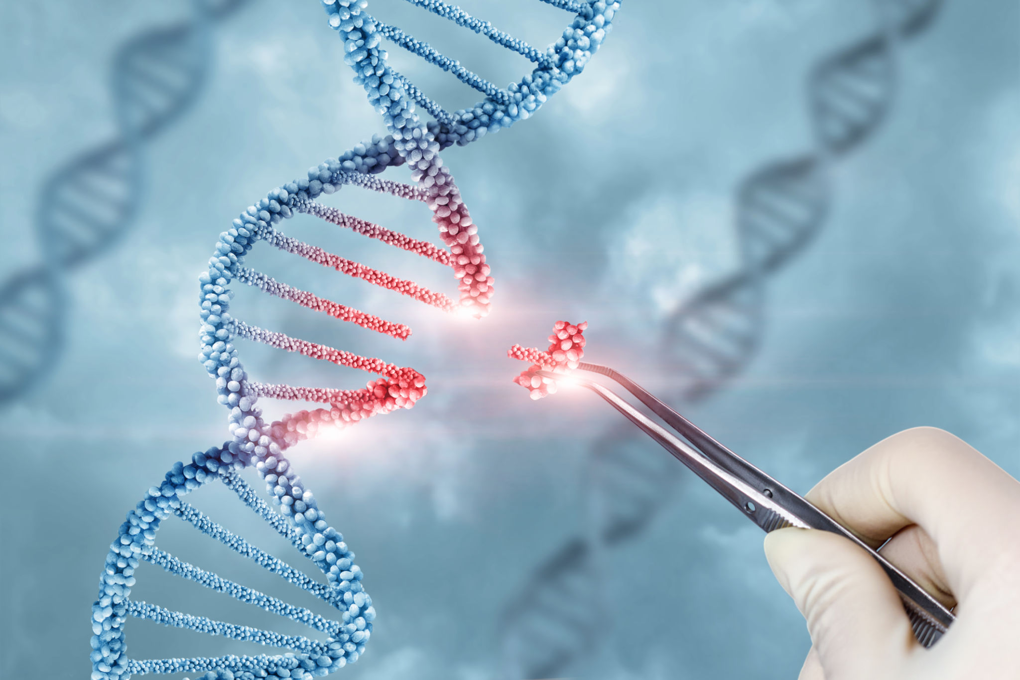 agriculture gene editing