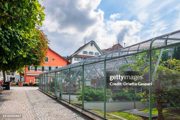 zug, aviary in landsgemeindeplatz - switzerland - aviary stock pictures, royalty-free photos & images