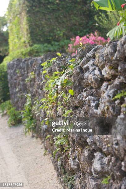 stone walls of taketomi village in okinawa, japan - île de taketomi photos et images de collection