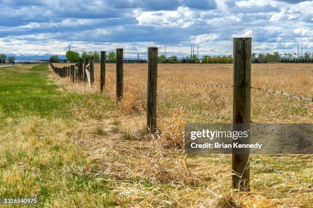 2020 western headworks canal fence - barbed wire fence stock pictures, royalty-free photos & images