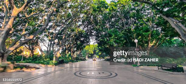 entrance to sydney hyde park - hyde park sydney foto e immagini stock