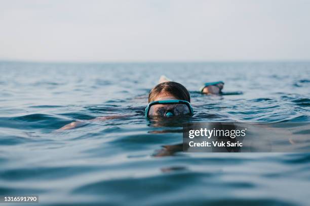 Diving Eye 1,778 Dove Eyes Stock Photos, High-Res Pictures, and Images - Getty Images