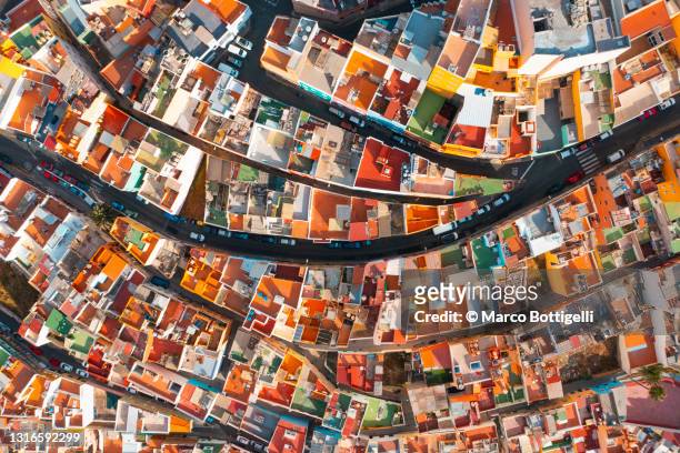 aerial view of colorful houses in las palmas de gran canaria, spain - amazing architecture bildbanksfoton och bilder