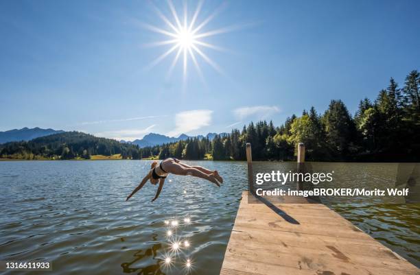 young woman taking a header into a lake, geroldsee, mittenwald, karwendel, bavaria, germany - mittenwald stock pictures, royalty-free photos & images