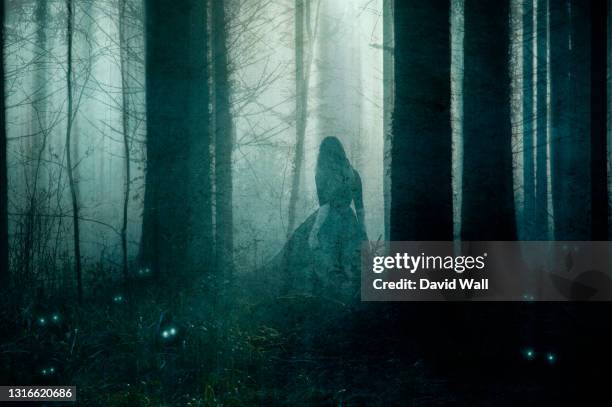 a supernatural concept of a ghostly woman wearing a long dress, walking through a spooky, foggy forest in winter. surrounded by small magical creatures with glowing eyes. with a grunge, vintage edit. - fantasma fotografías e imágenes de stock