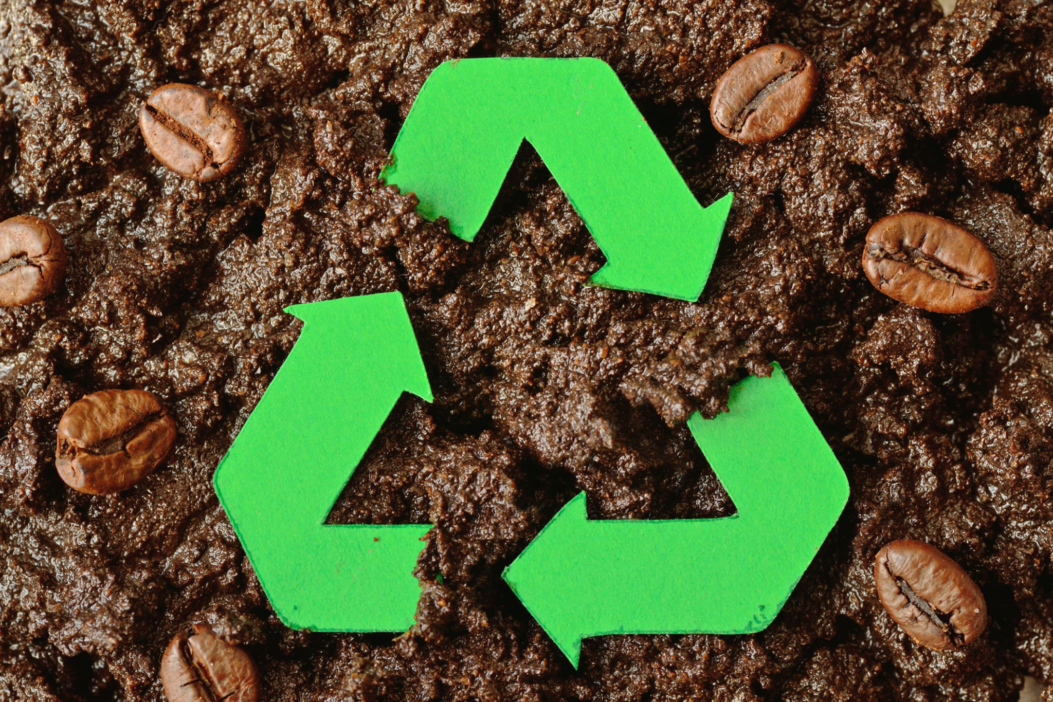 sustainable coffee