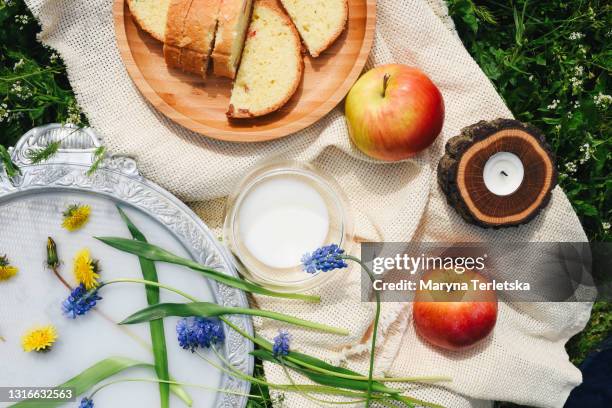 picnic with fruits, pastries and milk on the green grass. - tea cup overhead view photos et images de collection