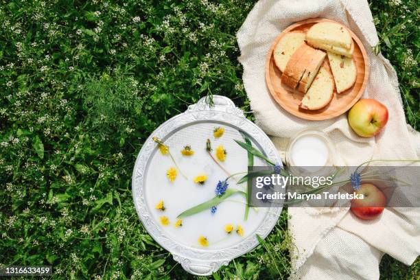picnic with fruits, pastries and milk on the green grass. - tea cup overhead view photos et images de collection