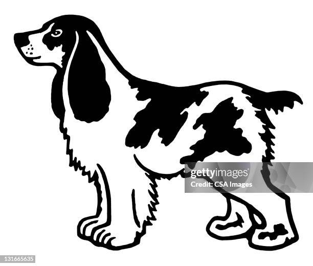 floppy eared dog - best in show stock illustrations