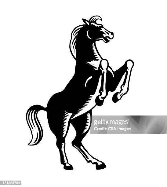 ilustrações de stock, clip art, desenhos animados e ícones de horse rearing up - cavalo selvagem arqueado