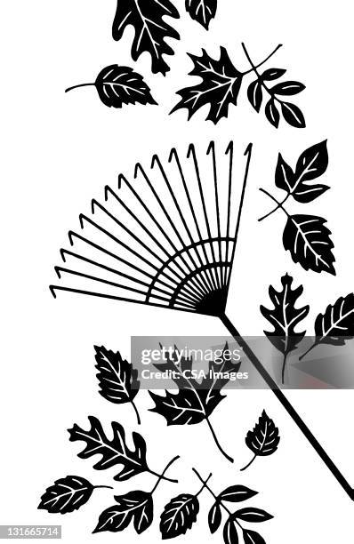 leaves and rake - rake leaves stock illustrations