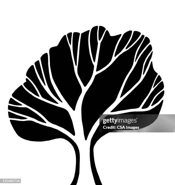 tree - family tree stock illustrations