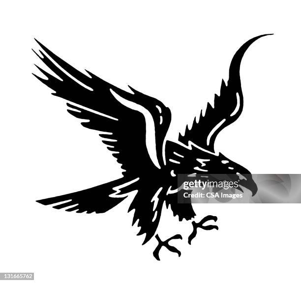 eagle - talon stock-grafiken, -clipart, -cartoons und -symbole