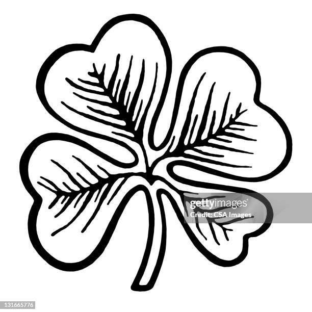 stockillustraties, clipart, cartoons en iconen met 4 leaf clover - 4 leaf clover