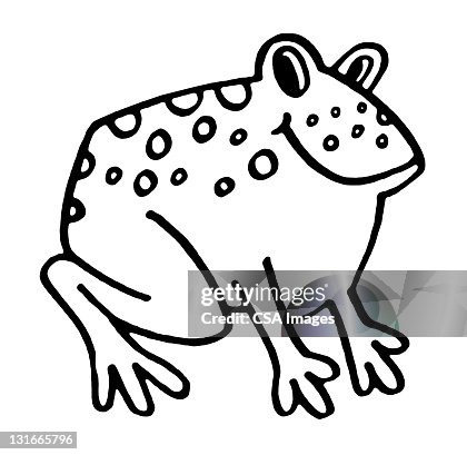 Toad Toad