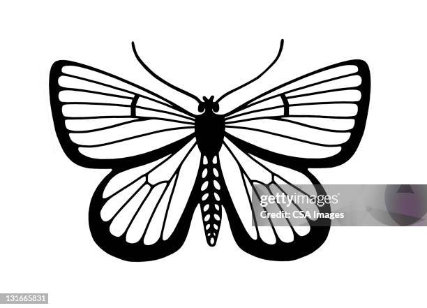 butterfly - animal antenna stock illustrations