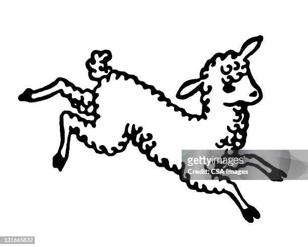 stockillustraties, clipart, cartoons en iconen met lamb jumping - lam dier