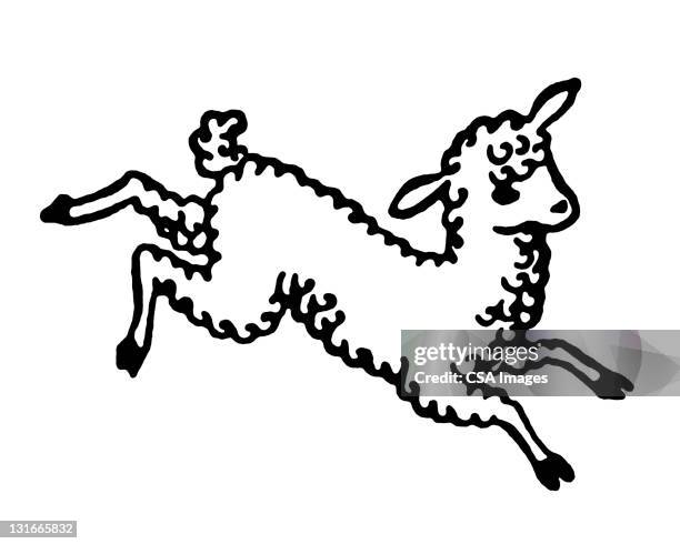 lamb jumping - sheep stock illustrations