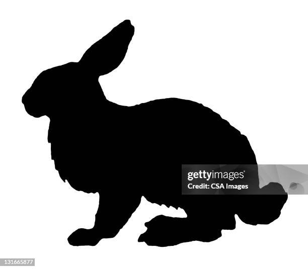 silhouette of rabbit - rabbit animal stock illustrations