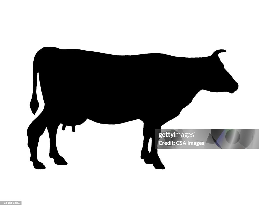 Silhouette of Cow