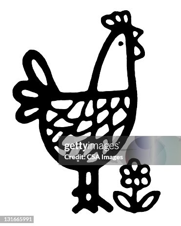Chicken Chicken