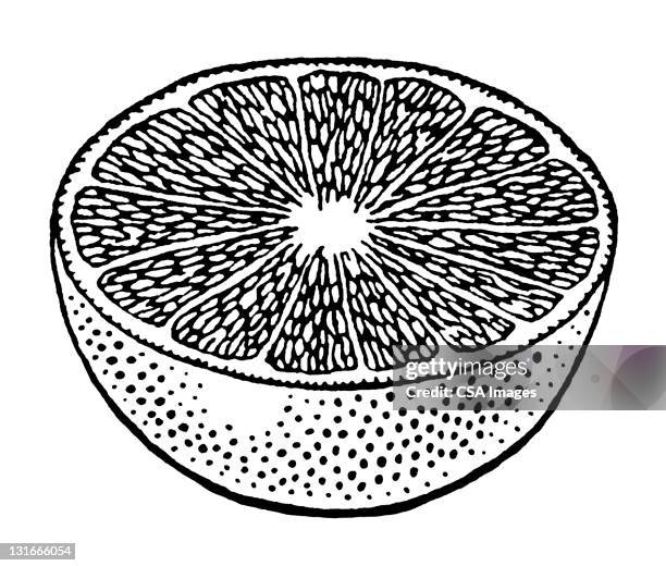 grapefruit half - orange fruit stock illustrations