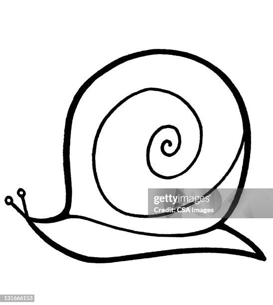 snail - snail stock illustrations