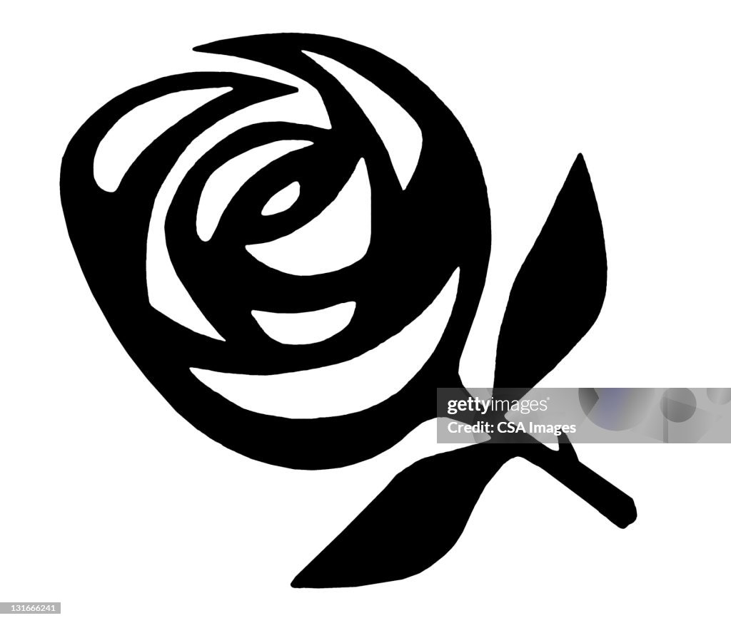 Styalised Roses Stylized Rose High-Res Vector Graphic - Getty Images