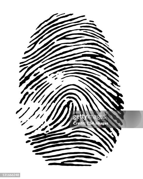 ilustraciones, imágenes clip art, dibujos animados e iconos de stock de fingerprint - fingerprint