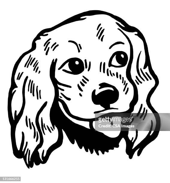 dog sticking tongue out - tierzunge stock-grafiken, -clipart, -cartoons und -symbole