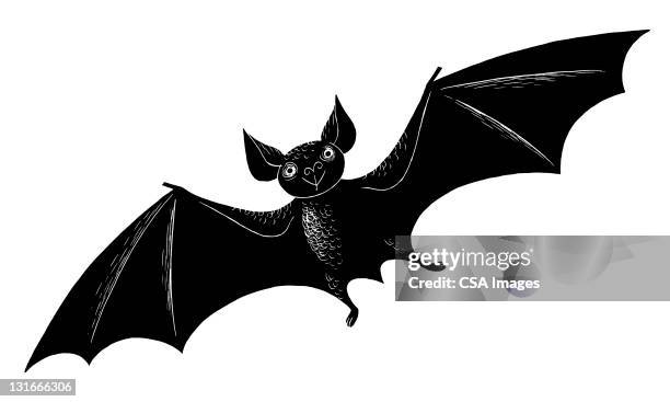 bat flying - fledermaus stock-grafiken, -clipart, -cartoons und -symbole