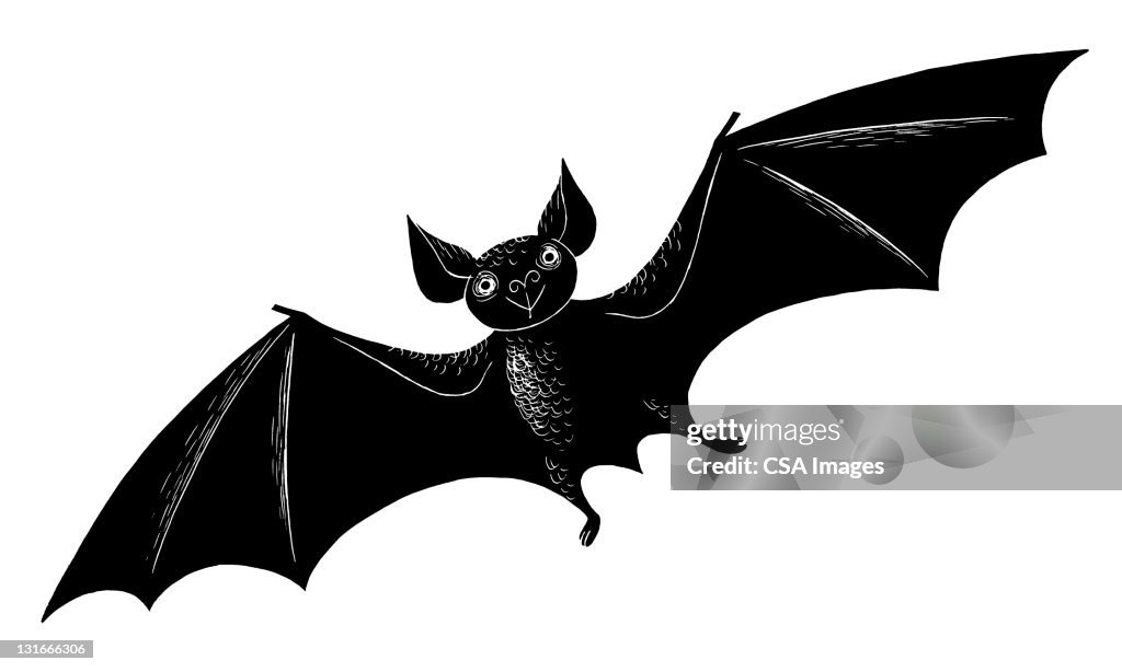 Bat Flying
